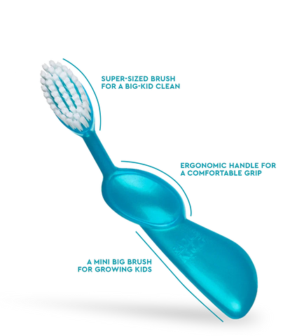 Kidz® Brush (6 yrs+)