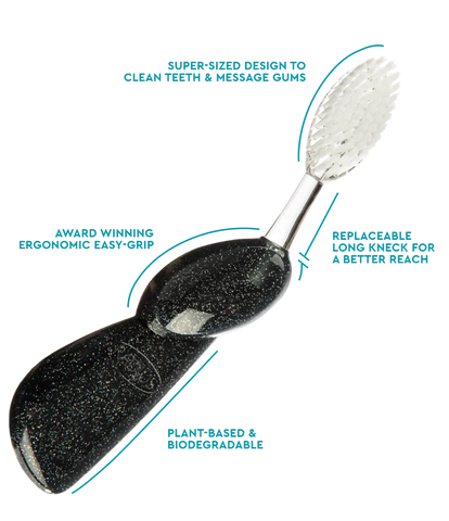 Big Brush with Replaceable Head Toothbrush