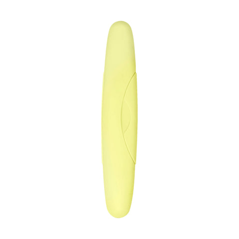 Standard Toothbrush Case