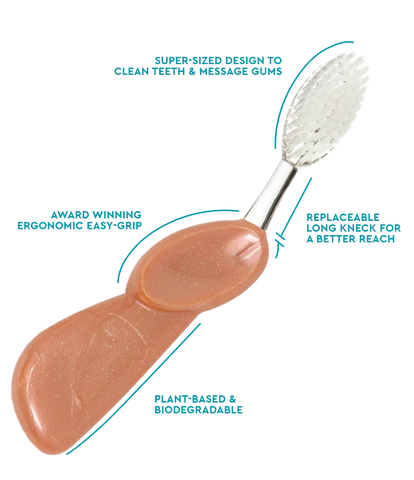 Big Brush with Replaceable Head Toothbrush