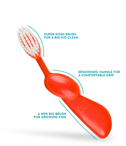 Kidz® Brush (6 yrs+)