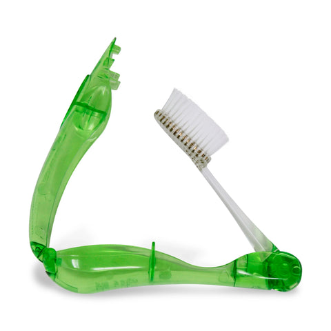 Tour Travel Brush