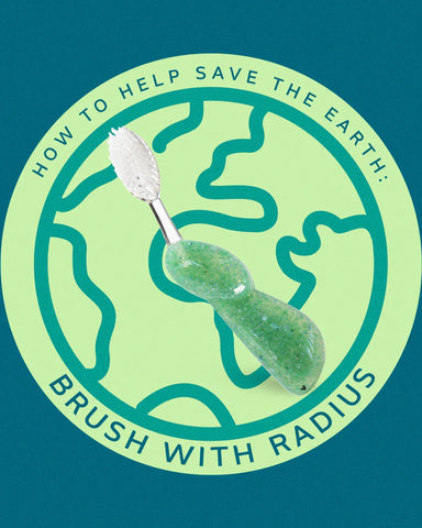 Big Brush with Replaceable Head Toothbrush