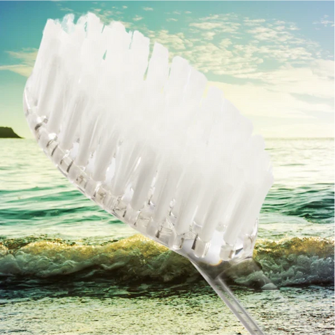 Big Brush Toothbrush Replacement Heads