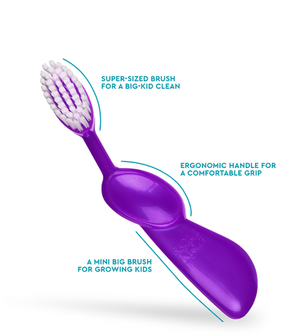 Kidz® Brush (6 yrs+)