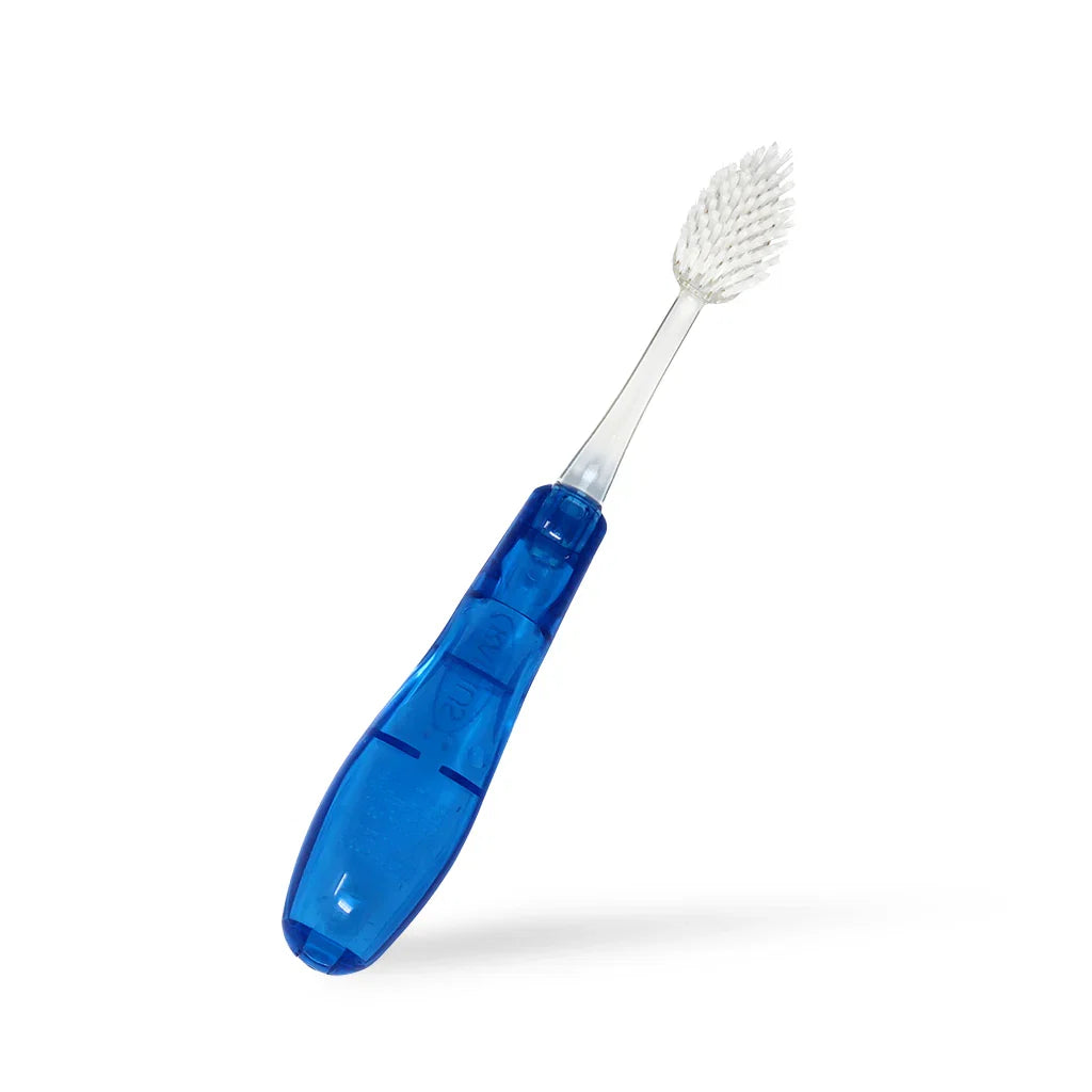 Tour Travel Brush