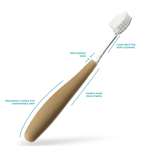 Source Replacement Head Toothbrush