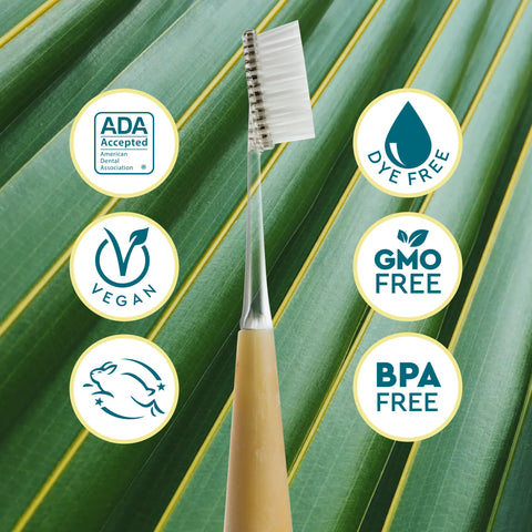 Source Replacement Head Toothbrush