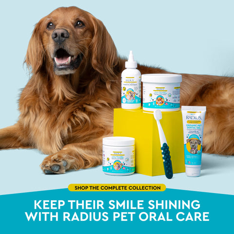 OralPro+ Pet Dental & Gut Powder for Dogs & Cats