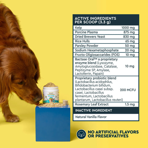 OralPro+ Pet Dental & Gut Powder for Dogs & Cats