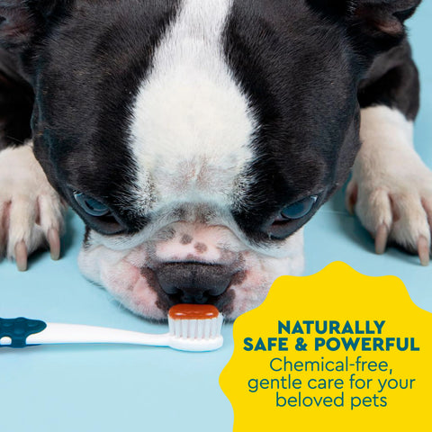 USDA Organic Canine Toothpaste