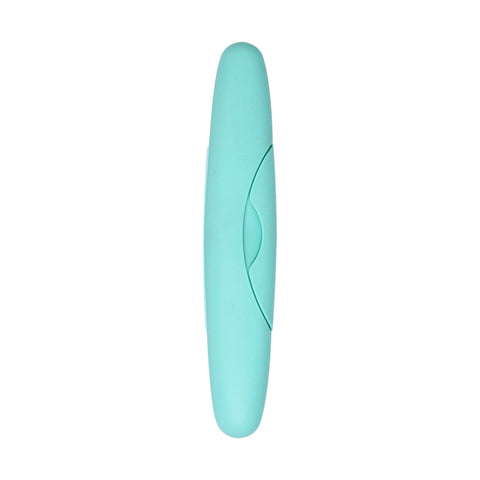 Standard Toothbrush Case