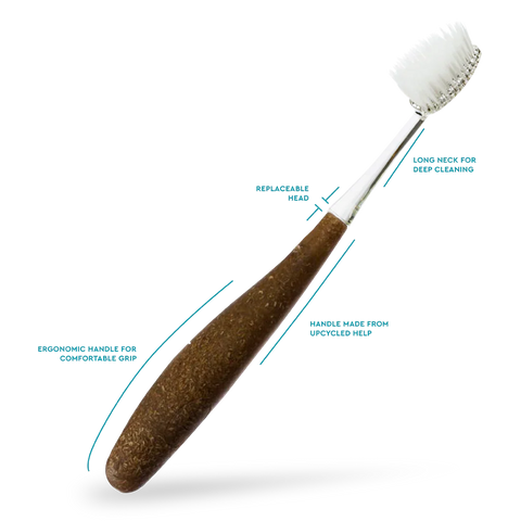 Source Replacement Head Toothbrush
