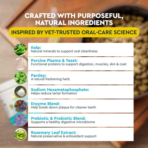 OralPro+ Pet Dental & Gut Powder for Dogs & Cats