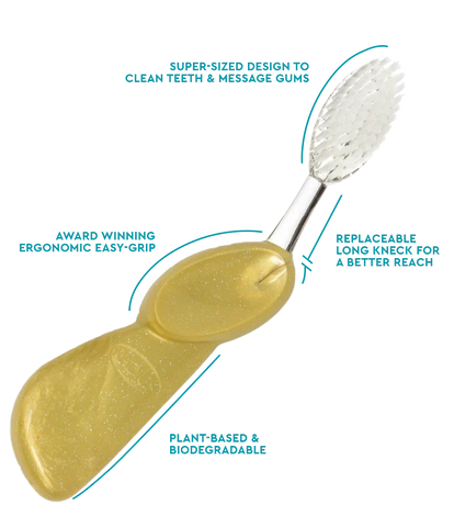Big Brush with Replaceable Head Toothbrush