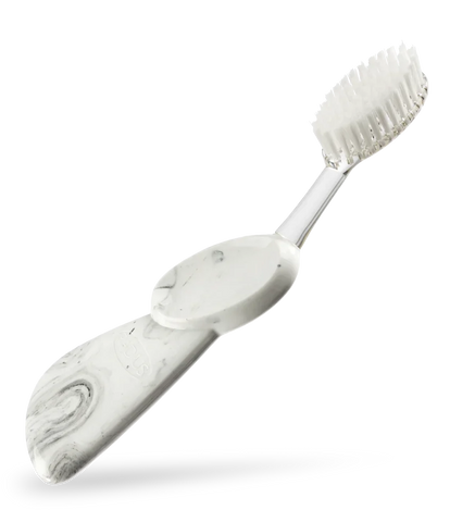 Big Brush with Replaceable Head Toothbrush