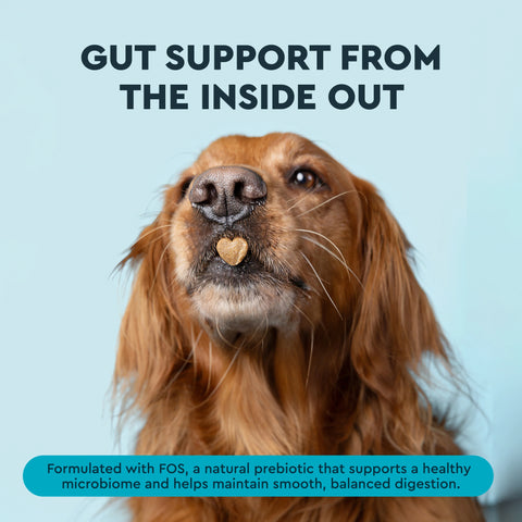 OralPro+ Pet Dental & Gut Chew Sticks for Dogs